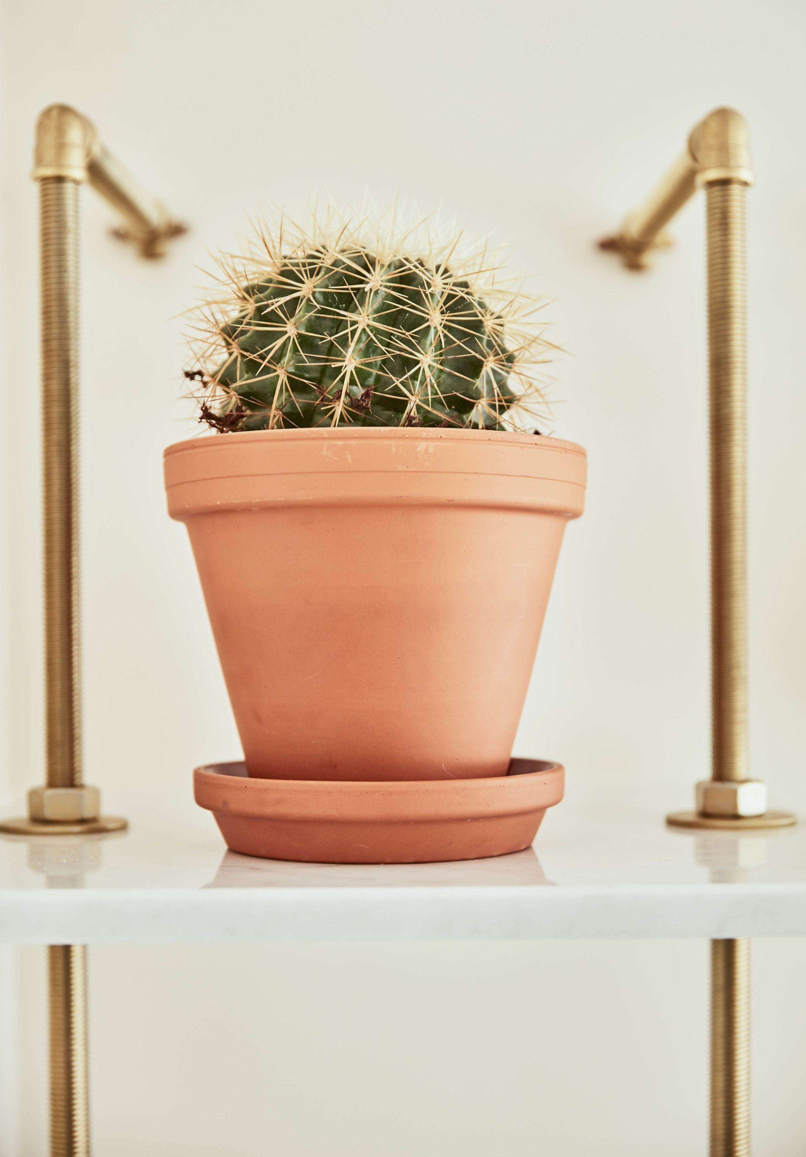 Max Brown Midtown, Part Of Sircle Collection Hotel 3*